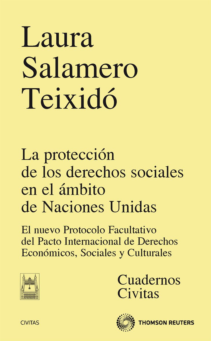 3 la protección derechos sociales NNUU