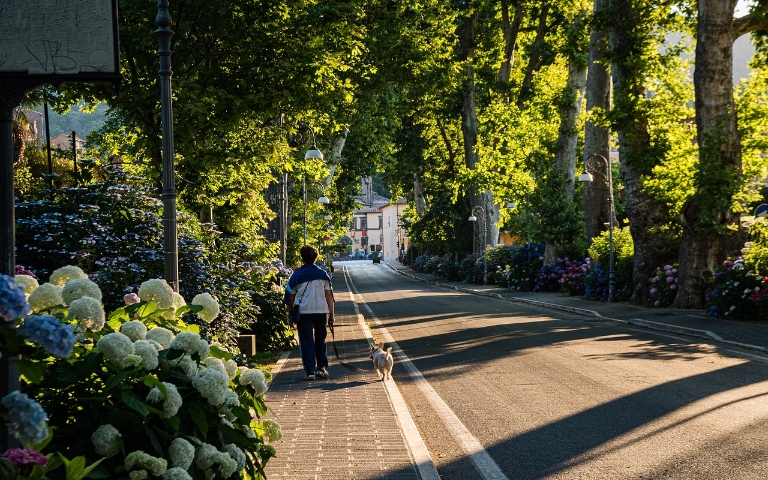 ciudad verde