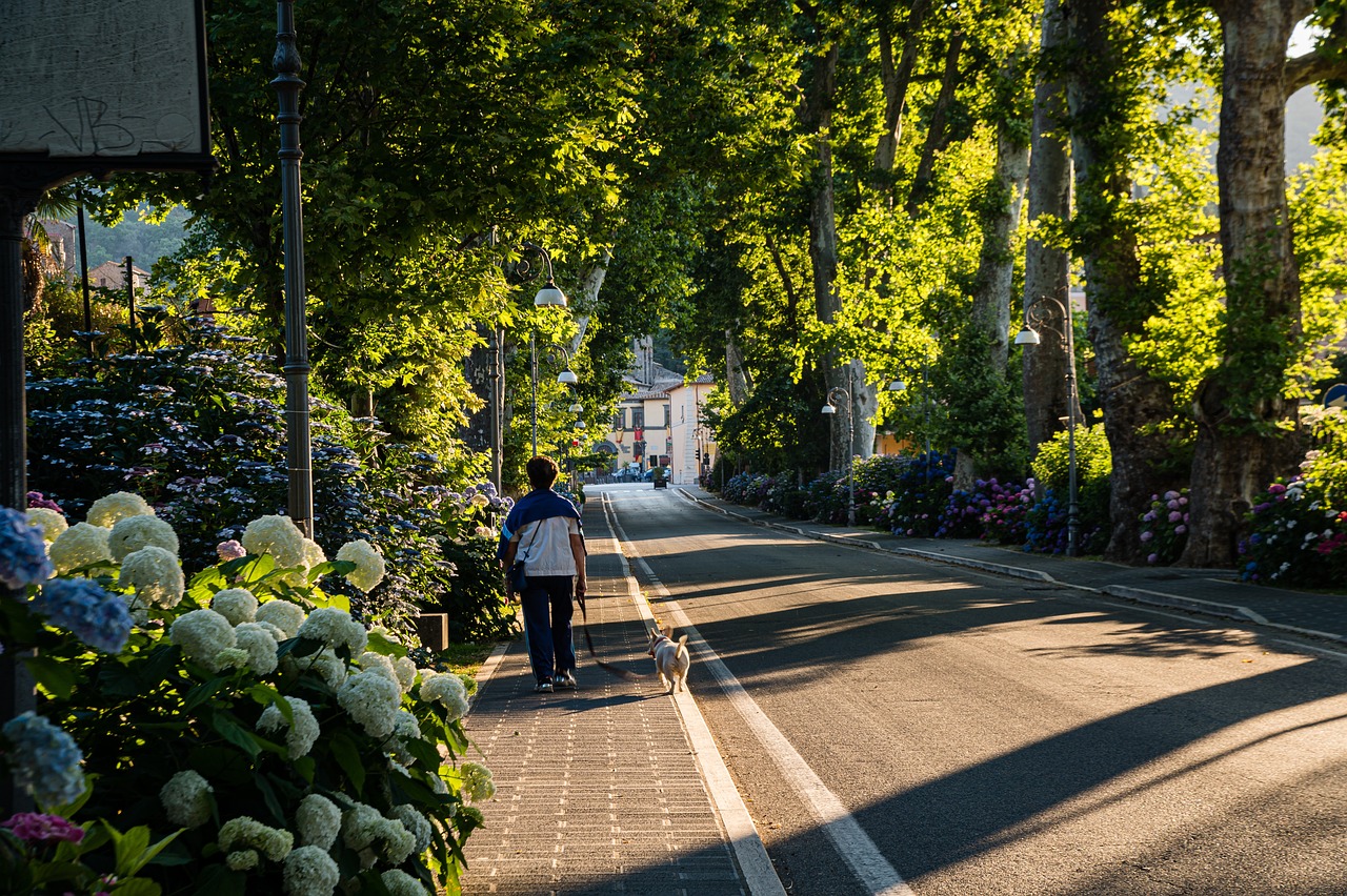 ciudad verde