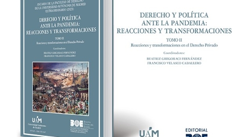 derecho y política ante la pandemia v1